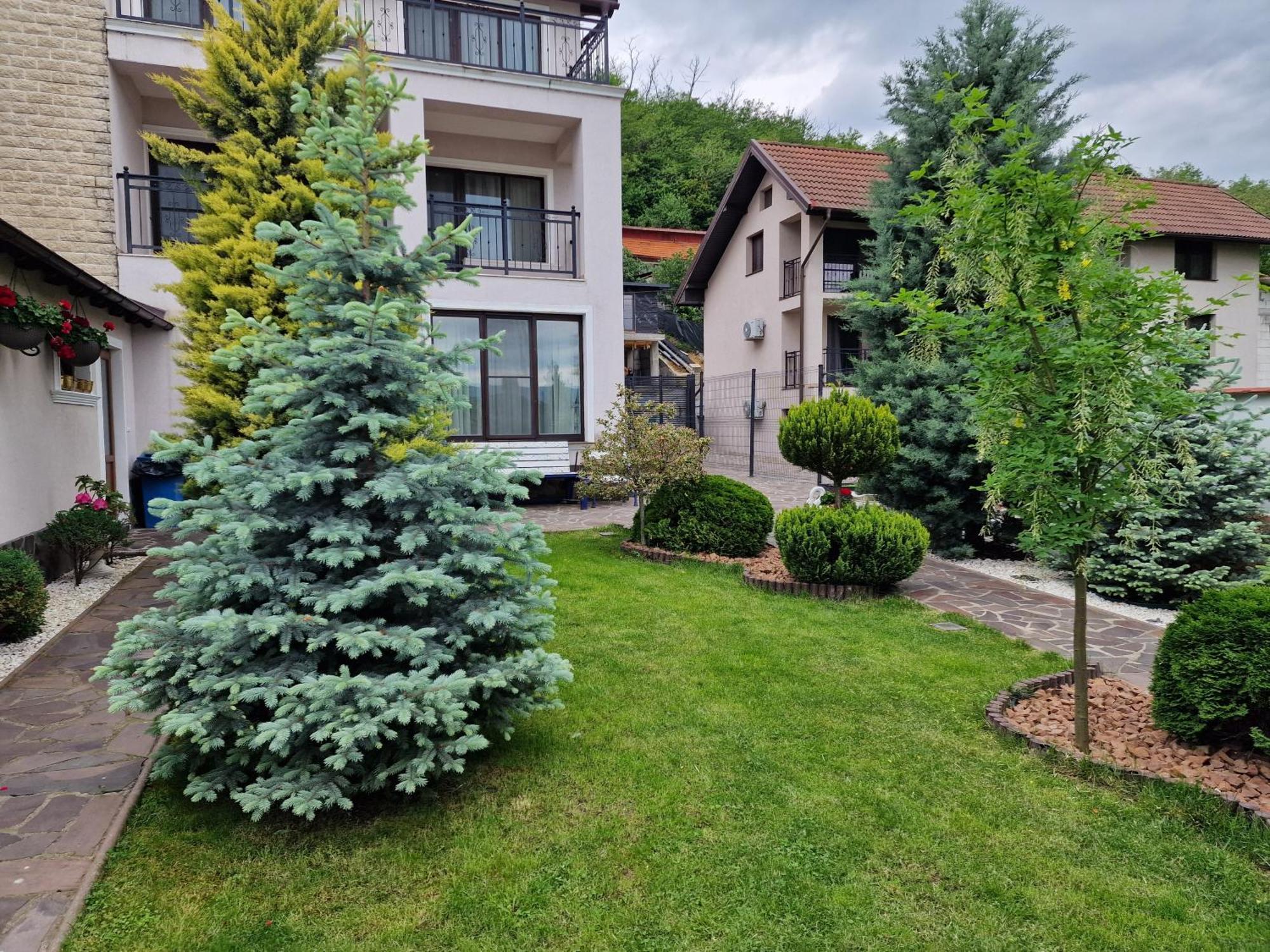Отель Casa Andrei Оршова Экстерьер фото